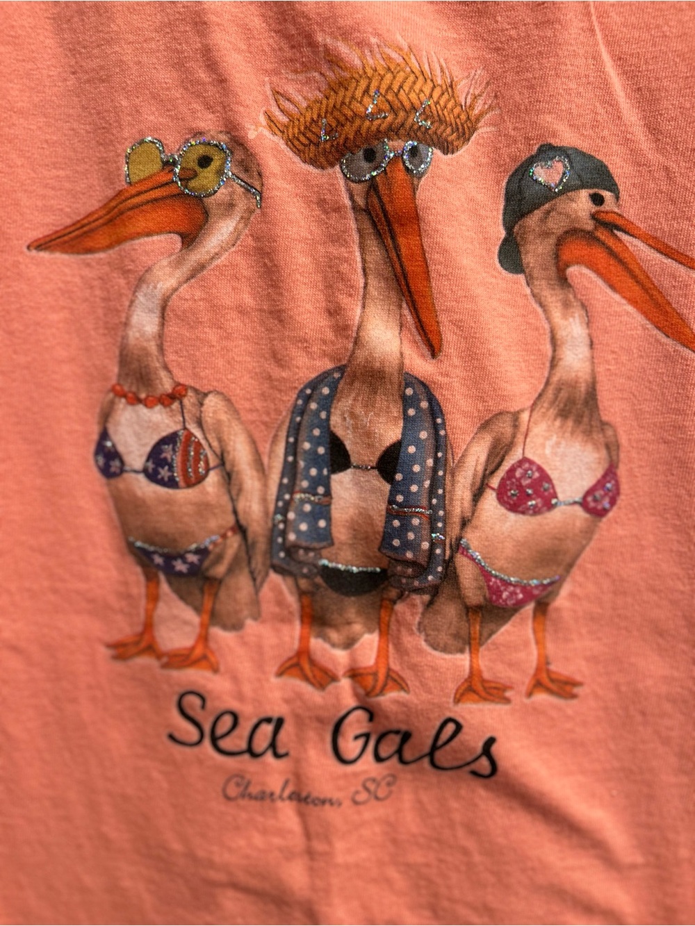 Sea Gals Glitter Bikini Pelicans Patriotic Beach Novelty Print tee Coral XL